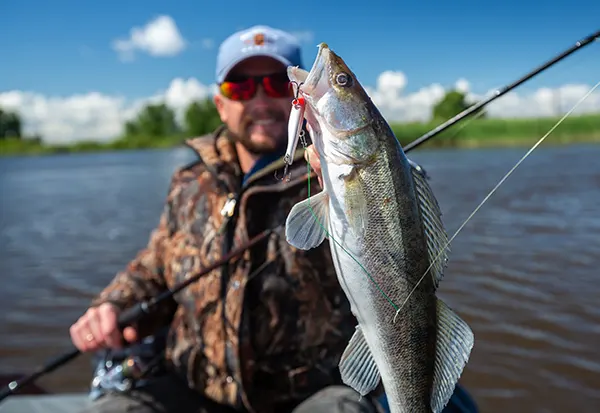 Patience des techniques statiques